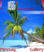 333 Seaside Coconut Tree Theme