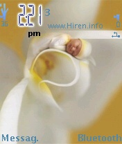 Ag Orchids Mobile Theme