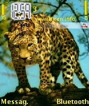 Big Cat Leopard Mobile Theme