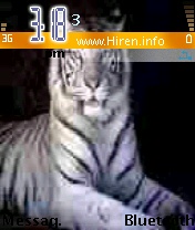 Big Cats Tiger Style Cellphone Theme