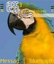 Colourful Parrot Yellow