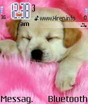 Cute Sleeping Puppy Theme