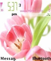 Fiori Fuxia Pink Flower Theme