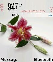 Fiori Misti Flower Cool Theme