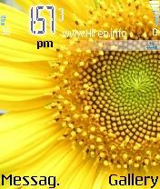 Flower Nice Yellow Flower Theme S60