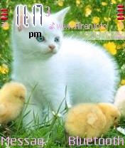 Kitty and Chicken Theme