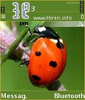 Lady Bug Dark Green Theme