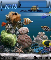 Marine Aquarium Fish Tank Theme