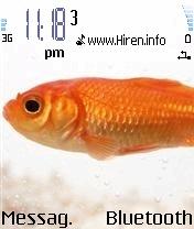 Orange Fish Phone Theme