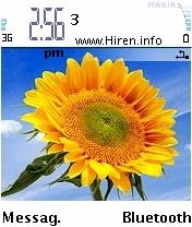 Sun Flower Series 60 Theme