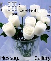 White Rose Flower Pot Theme