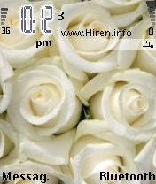 White Roses Beautiful Mobile Theme