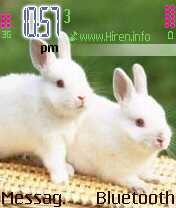 White Two Rabbits Mobile Theme