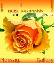 Yellowrose Beautiful Theme