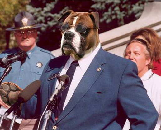 Dogman in Suit