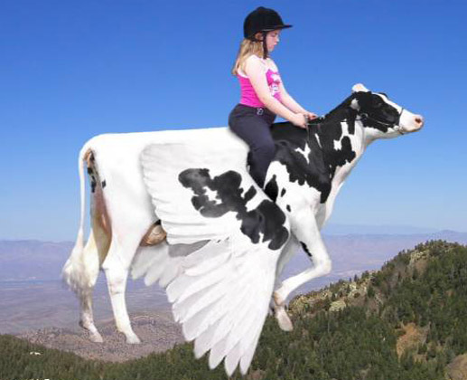 Flying Cow Ride