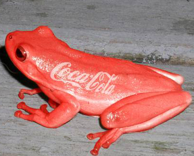 Frog Driks Coca Cola