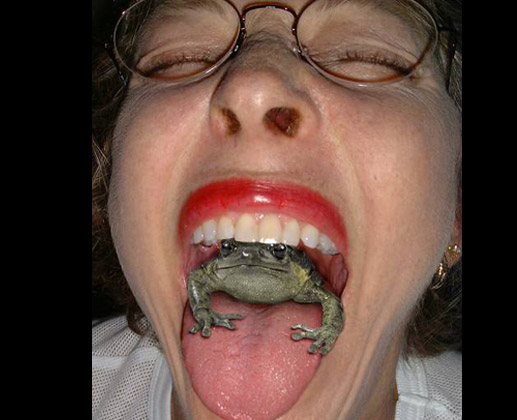 Frog in the Mouth