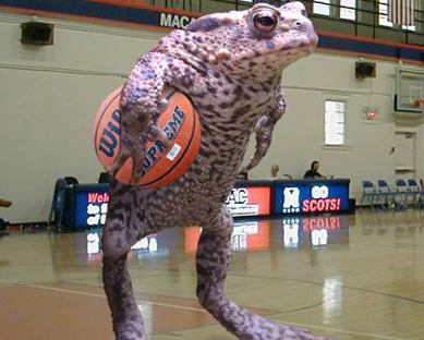 Frog Playing Basket Ball