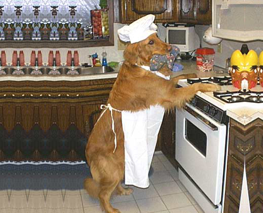 Housewife Dog