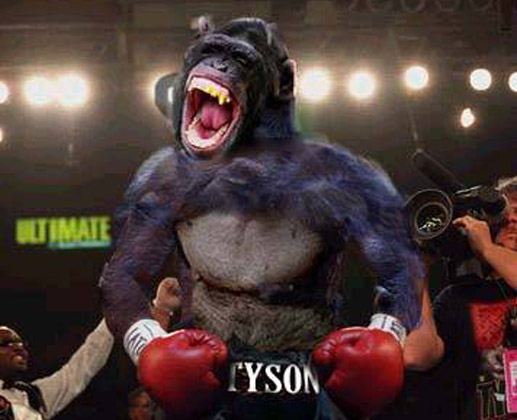 Kingkong Monkey