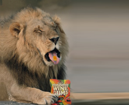 Lion Eat Wine Gums