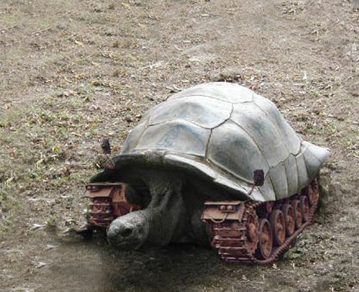 Modified Turtle