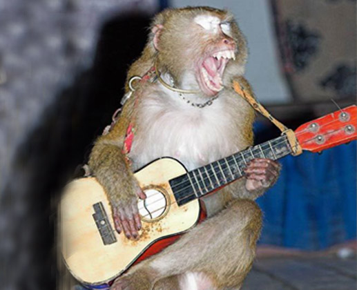 Mokey Playing Gitar