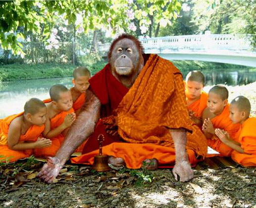 Monkey Saint Yogaguru