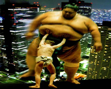 Sumo in the City